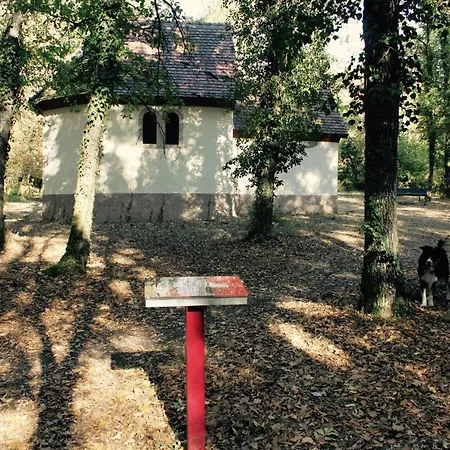 בית נופש D'illfurth Illfurth