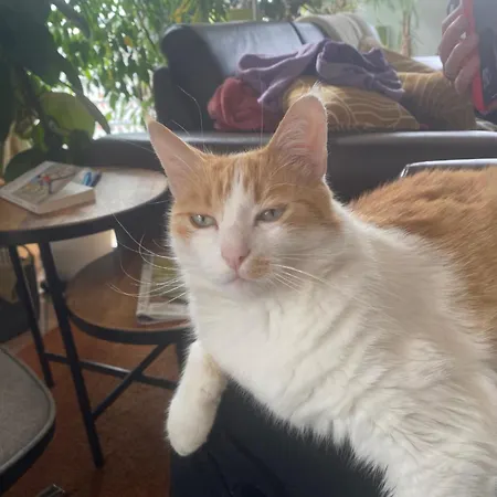 Дом отдыха D'illfurth